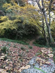 November 30, 2018 - (3) Kotohiragu Shrine IMG_8689