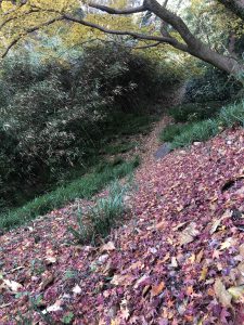 November 30, 2018 - (3) Kotohiragu Shrine IMG_8690