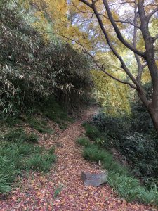 November 30, 2018 - (3) Kotohiragu Shrine IMG_8691