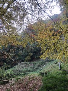 November 30, 2018 - (3) Kotohiragu Shrine IMG_8693