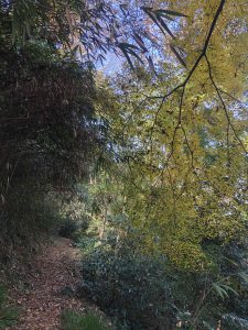 November 30, 2018 - (3) Kotohiragu Shrine IMG_8695