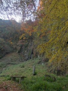 November 30, 2018 - (3) Kotohiragu Shrine IMG_8696
