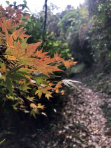 November 30, 2018 - (3) Kotohiragu Shrine IMG_8702