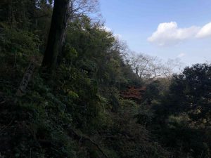 November 30, 2018 - (3) Kotohiragu Shrine IMG_8703