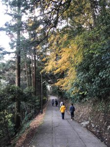 November 30, 2018 - (3) Kotohiragu Shrine IMG_8707