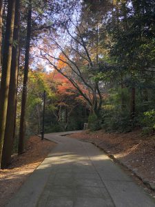 November 30, 2018 - (3) Kotohiragu Shrine IMG_8709