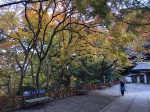 November 30, 2018 - (3) Kotohiragu Shrine IMG_8711