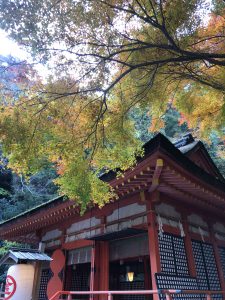 November 30, 2018 - (3) Kotohiragu Shrine IMG_8714
