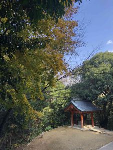 November 30, 2018 - (3) Kotohiragu Shrine IMG_8716