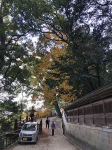 November 30, 2018 - (3) Kotohiragu Shrine IMG_8719