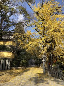 November 30, 2018 - (3) Kotohiragu Shrine IMG_8722