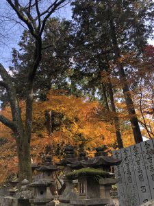 November 30, 2018 - (3) Kotohiragu Shrine IMG_8728