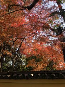 November 30, 2018 - (3) Kotohiragu Shrine IMG_8730