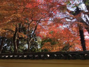 November 30, 2018 - (3) Kotohiragu Shrine IMG_8731