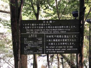November 30, 2018 - (4) Oboke IMG_0901
