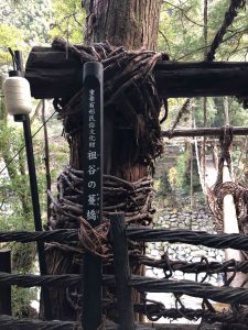 November 30, 2018 - (4) Oboke IMG_0902