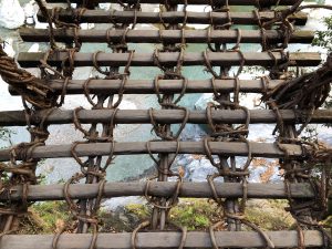 November 30, 2018 - (4) Oboke IMG_0906