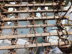 November 30, 2018 - (4) Oboke IMG_0907