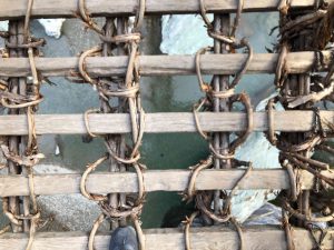 November 30, 2018 - (4) Oboke IMG_0908