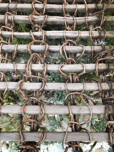 November 30, 2018 - (4) Oboke IMG_0913