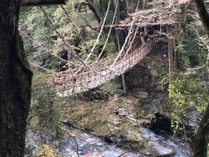 November 30, 2018 - (4) Oboke IMG_0915