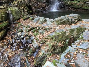 November 30, 2018 - (4) Oboke IMG_0926