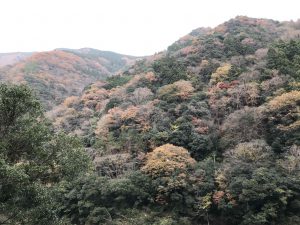 November 30, 2018 - (4) Oboke IMG_0941
