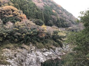 November 30, 2018 - (4) Oboke IMG_0942