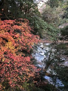 November 30, 2018 - (4) Oboke IMG_8760