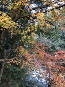 November 30, 2018 - (4) Oboke IMG_8761