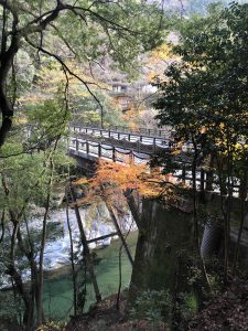 November 30, 2018 - (4) Oboke IMG_8762