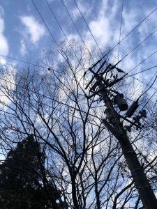 November 30, 2018 - (4) Oboke IMG_8805