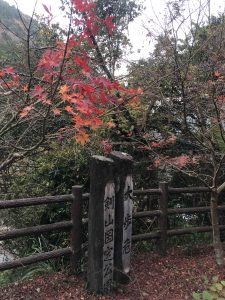 November 30, 2018 - (4) Oboke IMG_8812