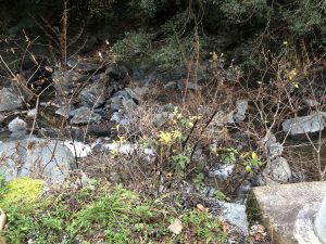November 30, 2018 - (5) Yokai Yashiki IMG_0948