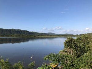 November 10, 2019 - (02) Iriomote - Pinaisara Falls - 1 of 6