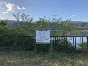 November 10, 2019 - (02) Iriomote - Pinaisara Falls - 3 of 6