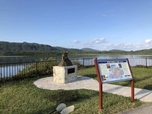 November 10, 2019 - (02) Iriomote - Pinaisara Falls - 5 of 6