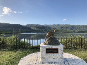 November 10, 2019 - (02) Iriomote - Pinaisara Falls - 6 of 6