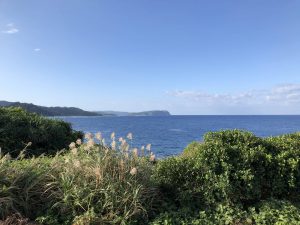 November 10, 2019 - (03) Iriomote - Unarizaki Park - 12 of 14