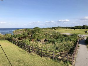 November 10, 2019 - (03) Iriomote - Unarizaki Park - 3 of 14