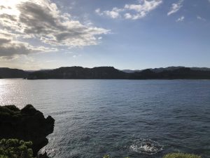 November 10, 2019 - (03) Iriomote - Unarizaki Park - 6 of 14