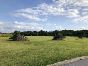 November 10, 2019 - (03) Iriomote - Unarizaki Park - 9 of 14