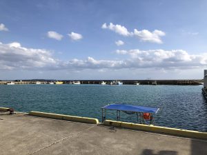 November 10, 2019 - (04) Iriomote - Uehara Ferry Port - 4 of 8