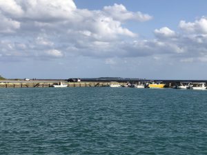 November 10, 2019 - (04) Iriomote - Uehara Ferry Port - 8 of 8