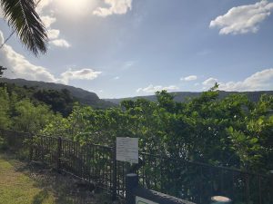 November 10, 2019 - (05) Iriomote - Pinaisara Falls - 2 of 6