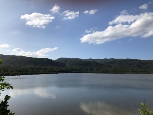 November 10, 2019 - (05) Iriomote - Pinaisara Falls - 3 of 6