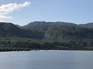 November 10, 2019 - (05) Iriomote - Pinaisara Falls - 4 of 6