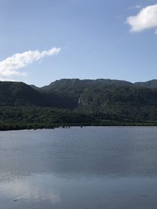 November 10, 2019 - (05) Iriomote - Pinaisara Falls - 6 of 6