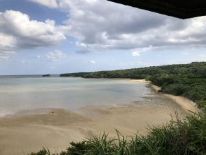November 10, 2019 - (06) Iriomote - Oomija Road Park - 1 of 27