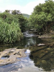 November 10, 2019 - (06) Iriomote - Oomija Road Park - 10 of 27